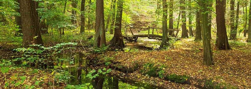 Paradies Dippmannsdorf Bad Belzig